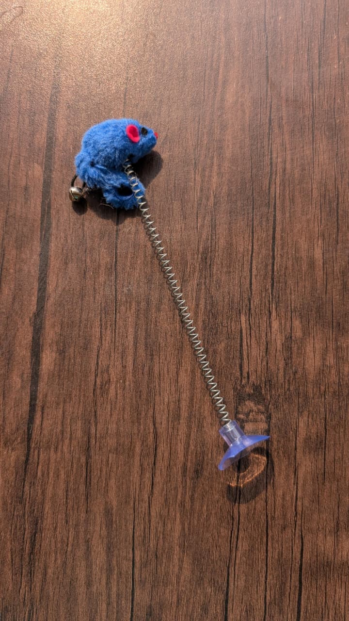 Spring Toy