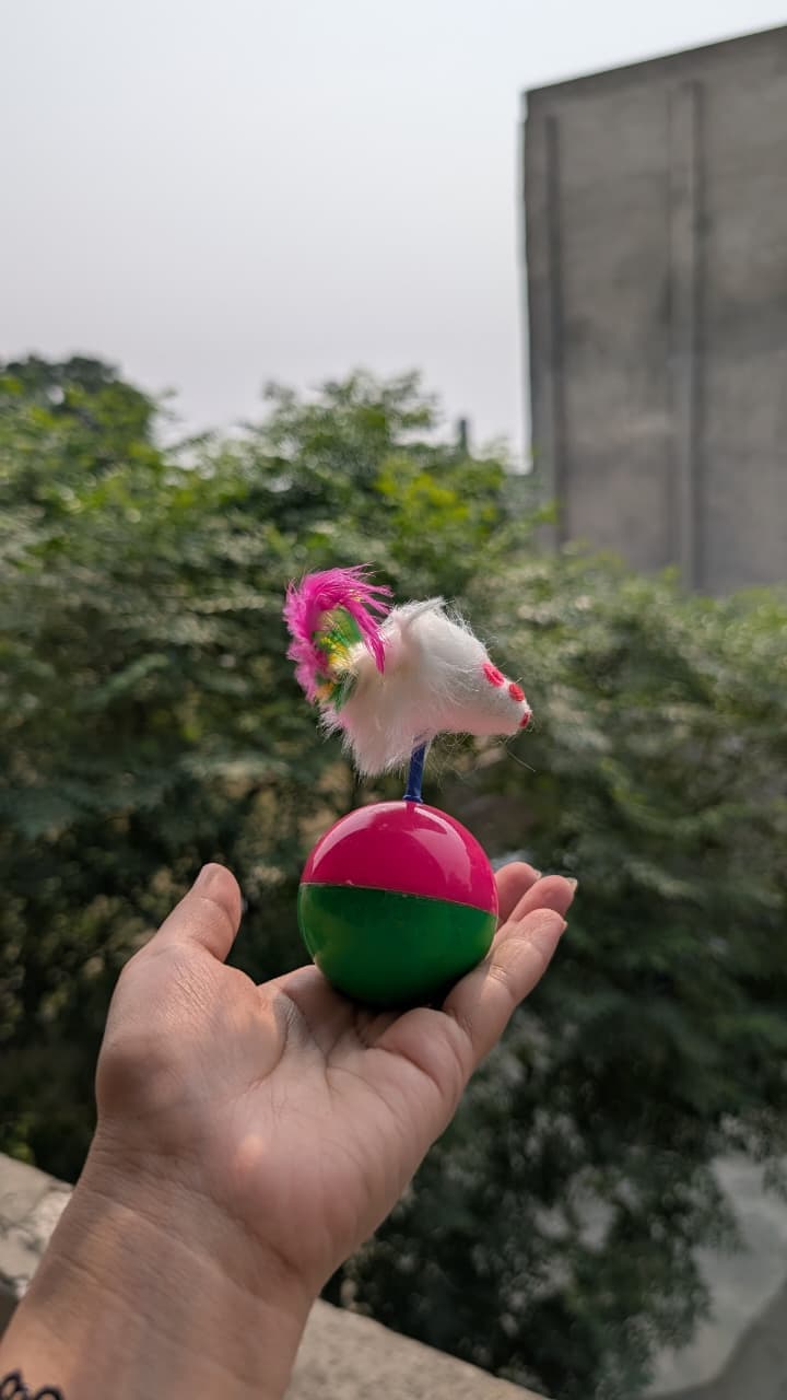 Ball with Mouse Toy
