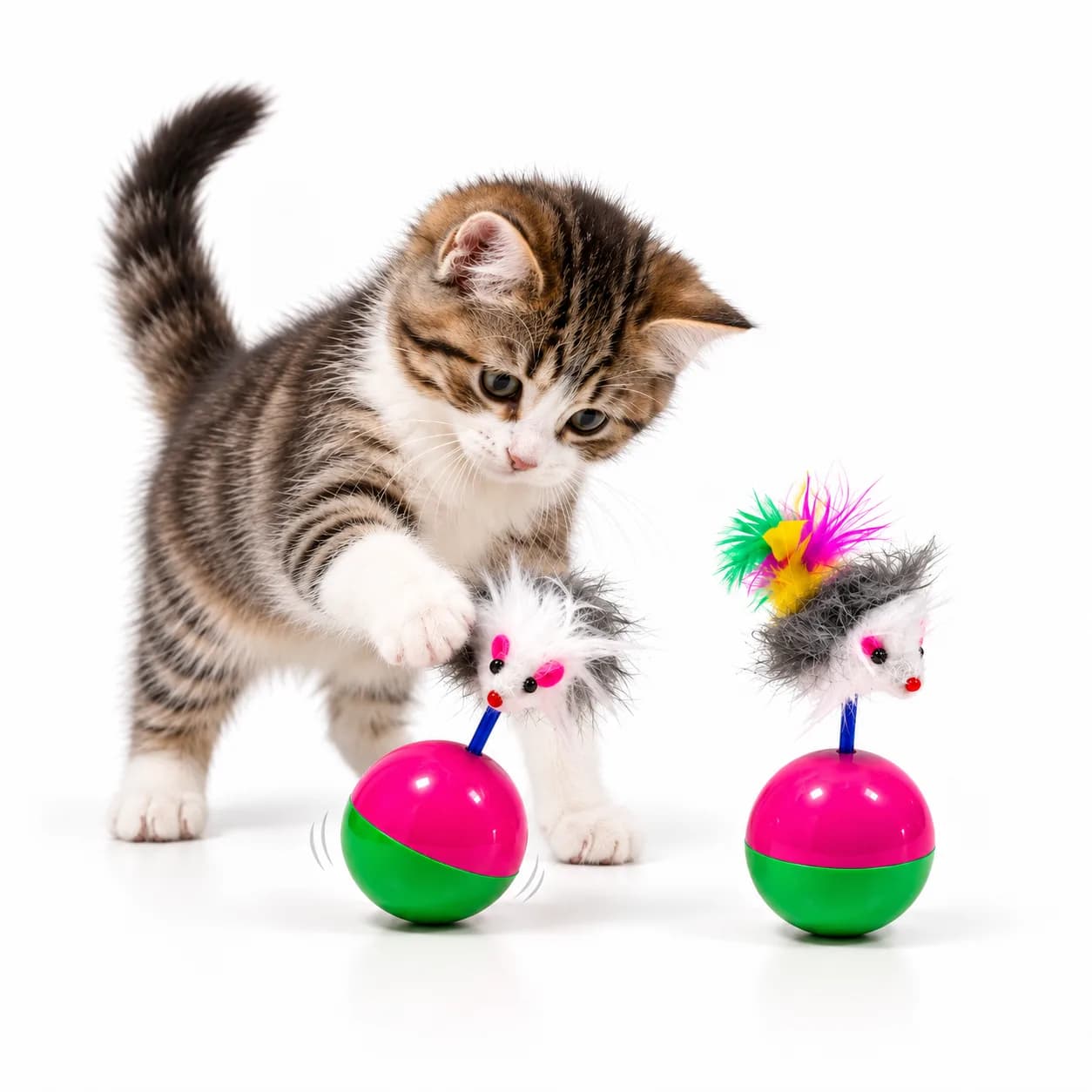 Ball with Mouse Toy