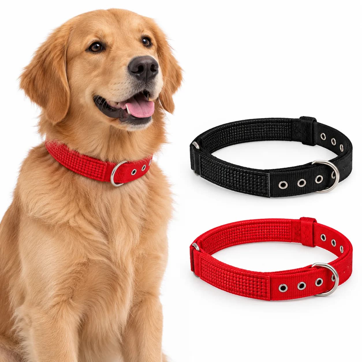 Soft Collar with Buckle