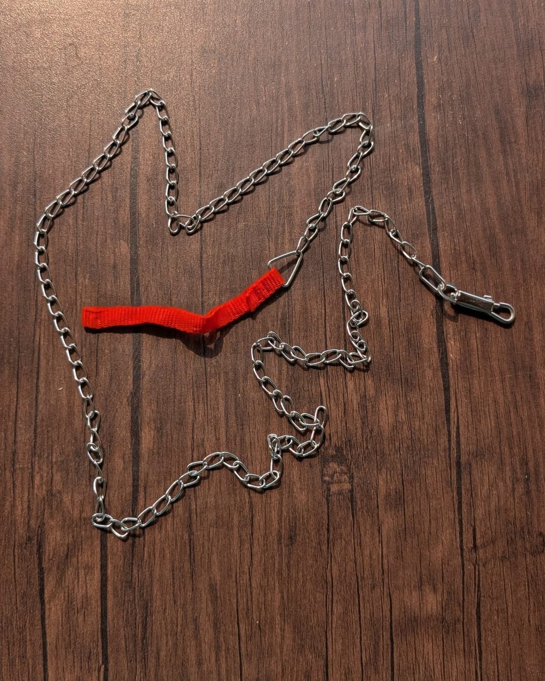 Chain Leash