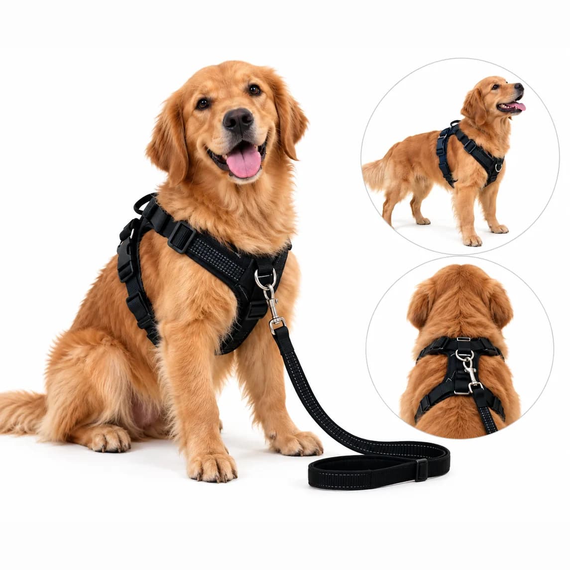 Body Harness with Leash