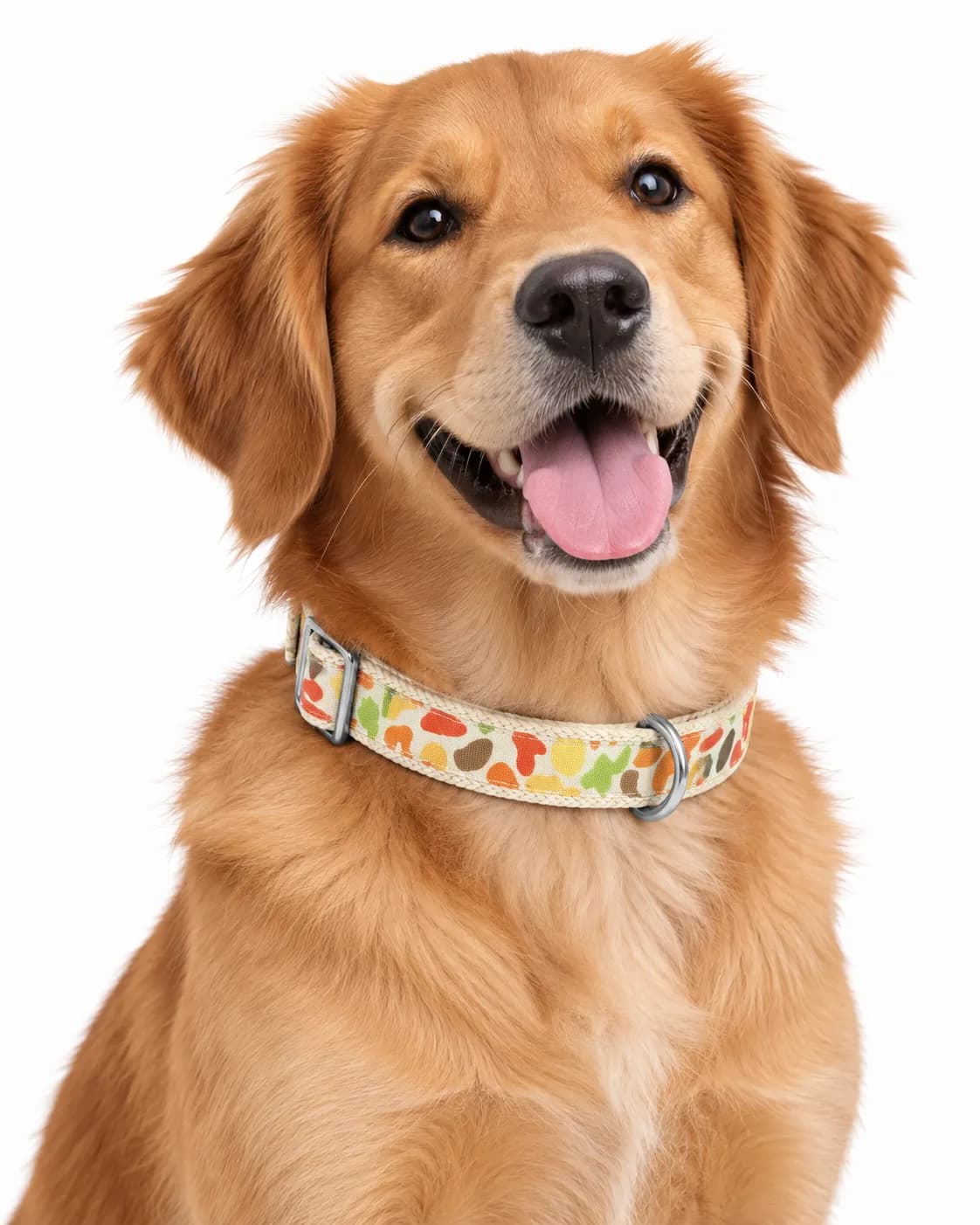 Multi Colour Soft Collar with Buckle