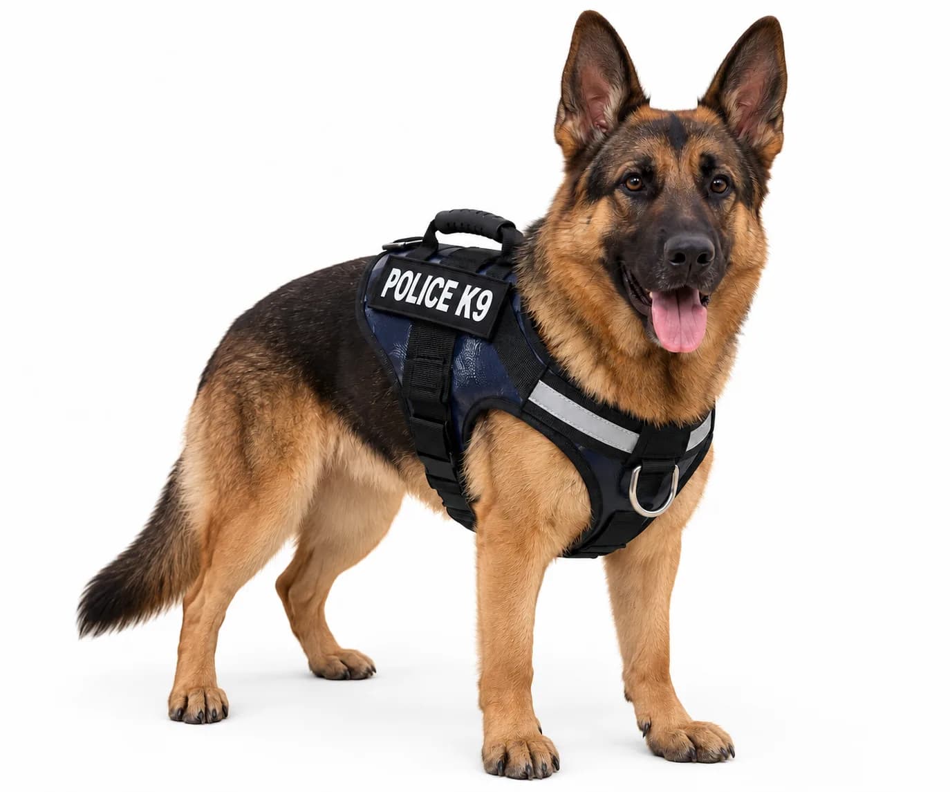 Police K9 Leash