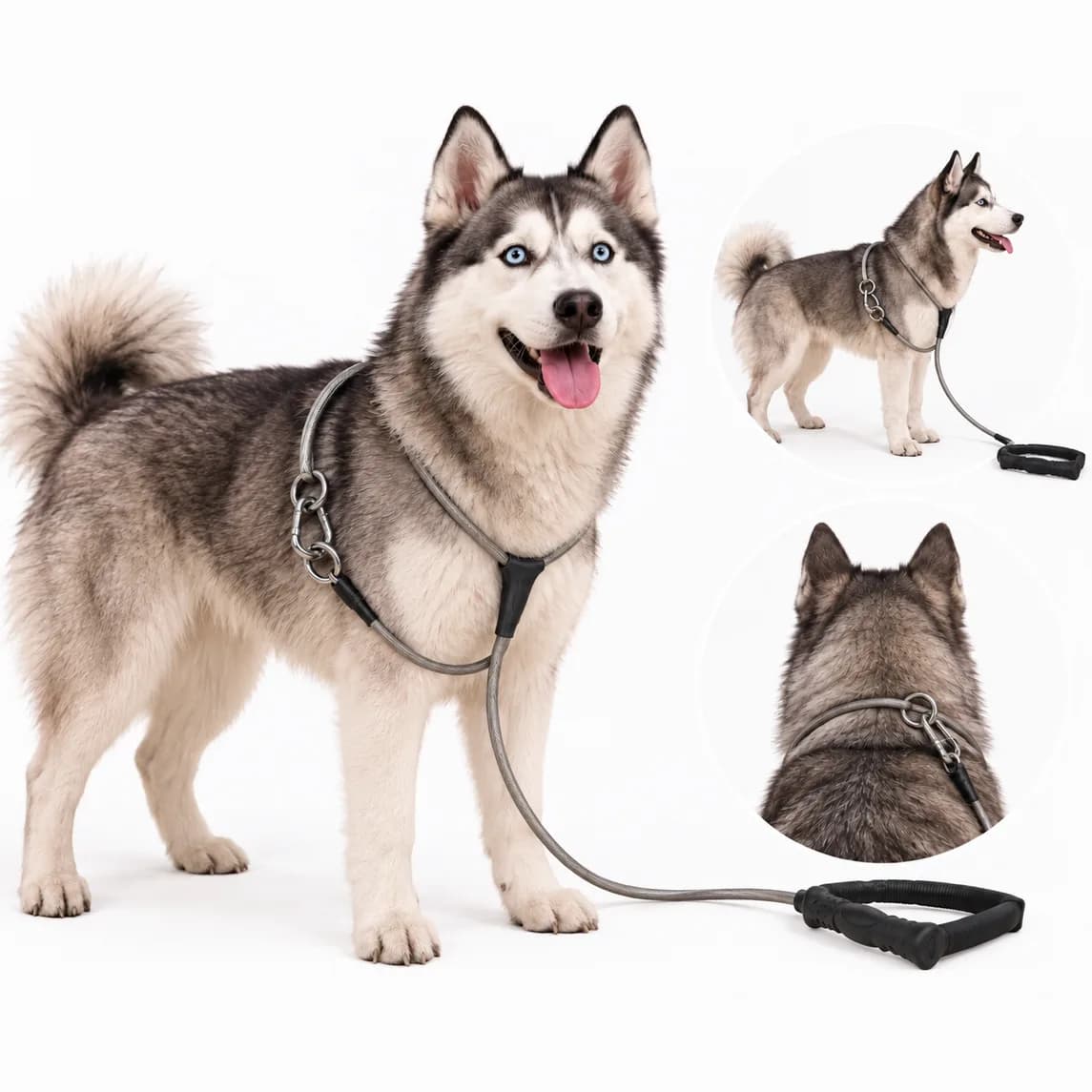 Wire Leash with Handle