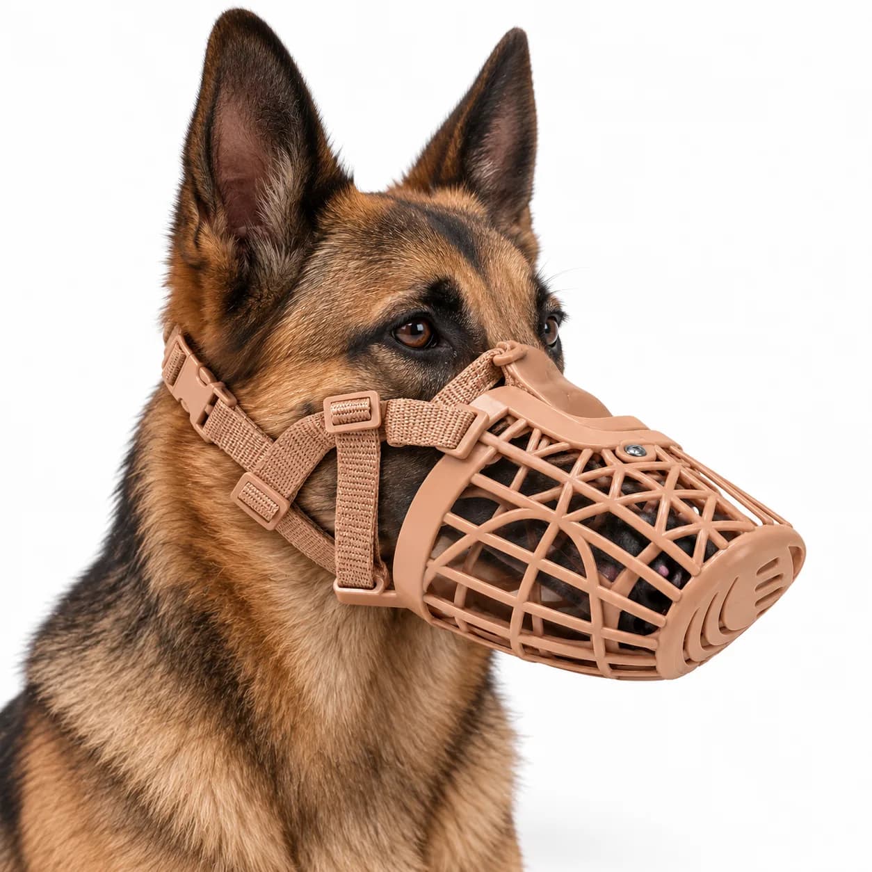Dog Plastic Muzzle
