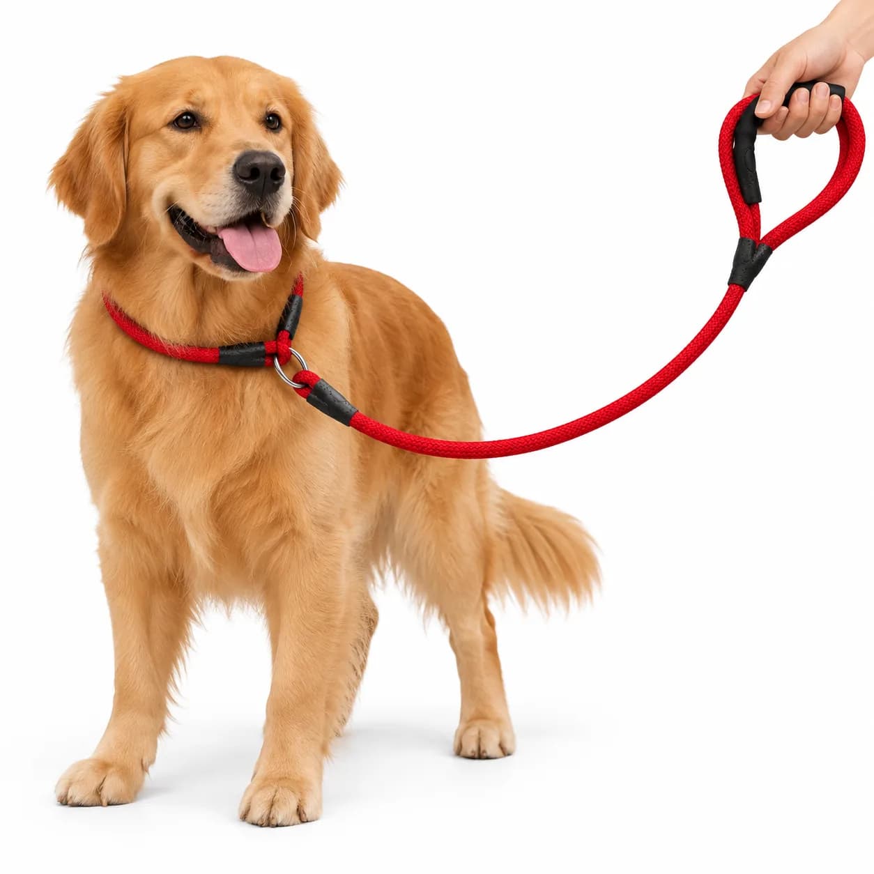 Elegant Round Rope Leash